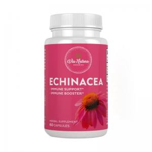 Echinacea 1000mg Via Natura 60 Cápsulas